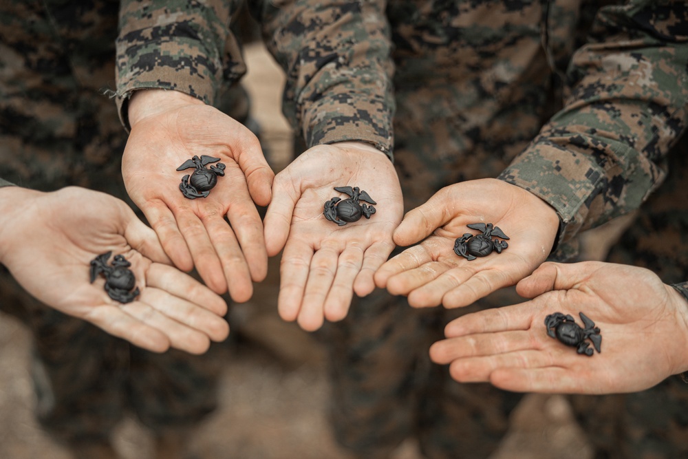Kilo Company Crucible Hike and EGA Ceremony