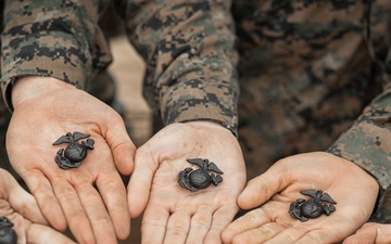 Kilo Company Crucible Hike and EGA Ceremony