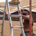 U.S. Armed Forces Help Rebuild Tinian After Sinlaku