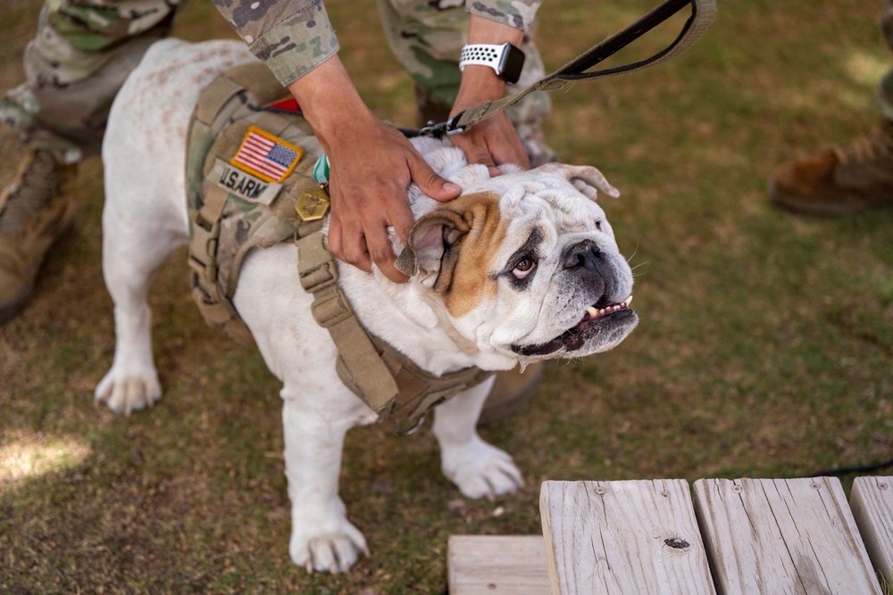 A Farewell to Duke Chester XI