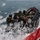 12th Littoral Logistics Battalion Hosts Coxswain Training 12th Littoral Logistics Battalion Hosts Coxswain Training