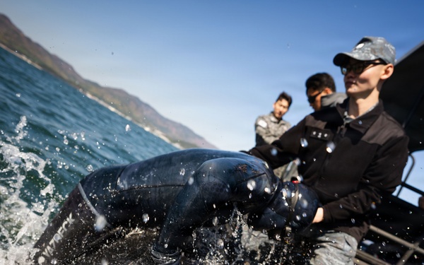 U.S., Republic of Korea, Australian Forces Conduct Joint Dive and Salvage Exercise in Jinhae