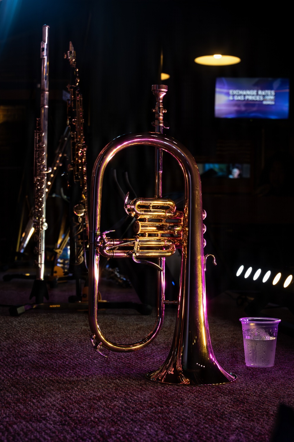 III MEF Band Spring Jazz Concert