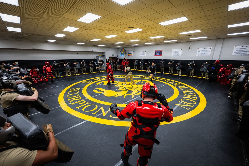 Give them wings, teach them to fly: The making of a Phoenix Raven