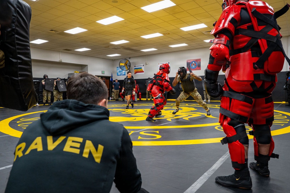 Give them wings, teach them to fly: The making of a Phoenix Raven