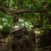 Candidates Push Through Final Jungle Obstacles During JOTC-P