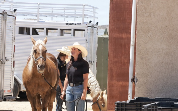 USMC Mounted Color Guard Retirement Ceremony May 15, 2026