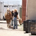 USMC Mounted Color Guard Retirement Ceremony May 15, 2026