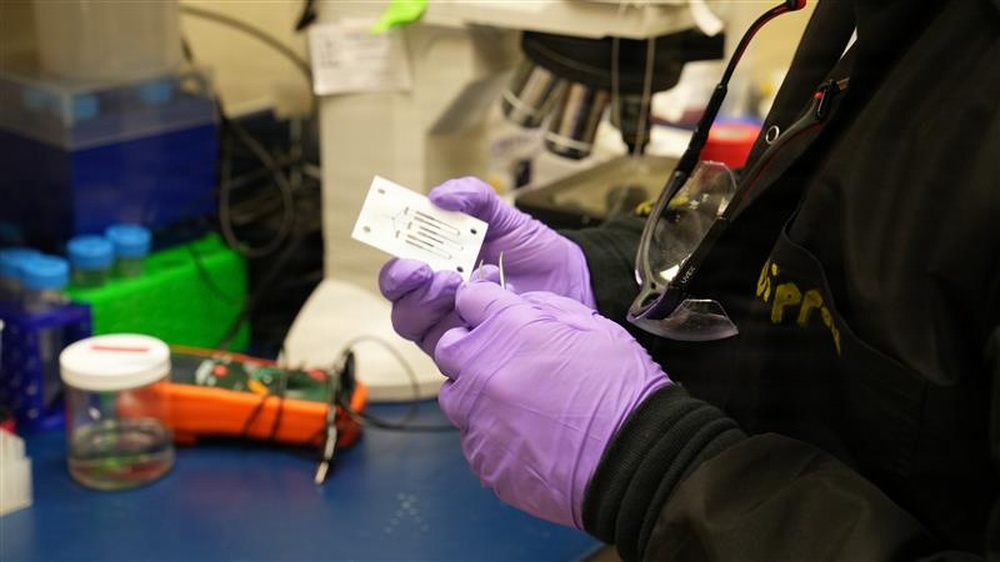 DVIDS - Images - Army invention identifies bio-materials for future ...