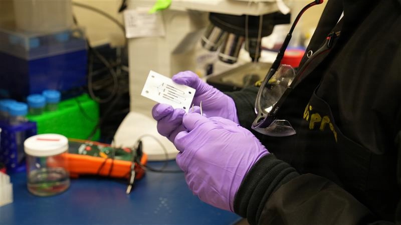 Army invention identifies bio-materials for future military technology