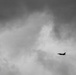 U.S. Air Force Col. Shaun Bowes F-16 fini-flight