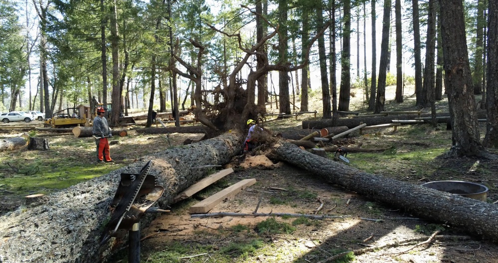 Mendocino National Forest Storm Cleanup