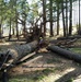 Mendocino National Forest Storm Cleanup