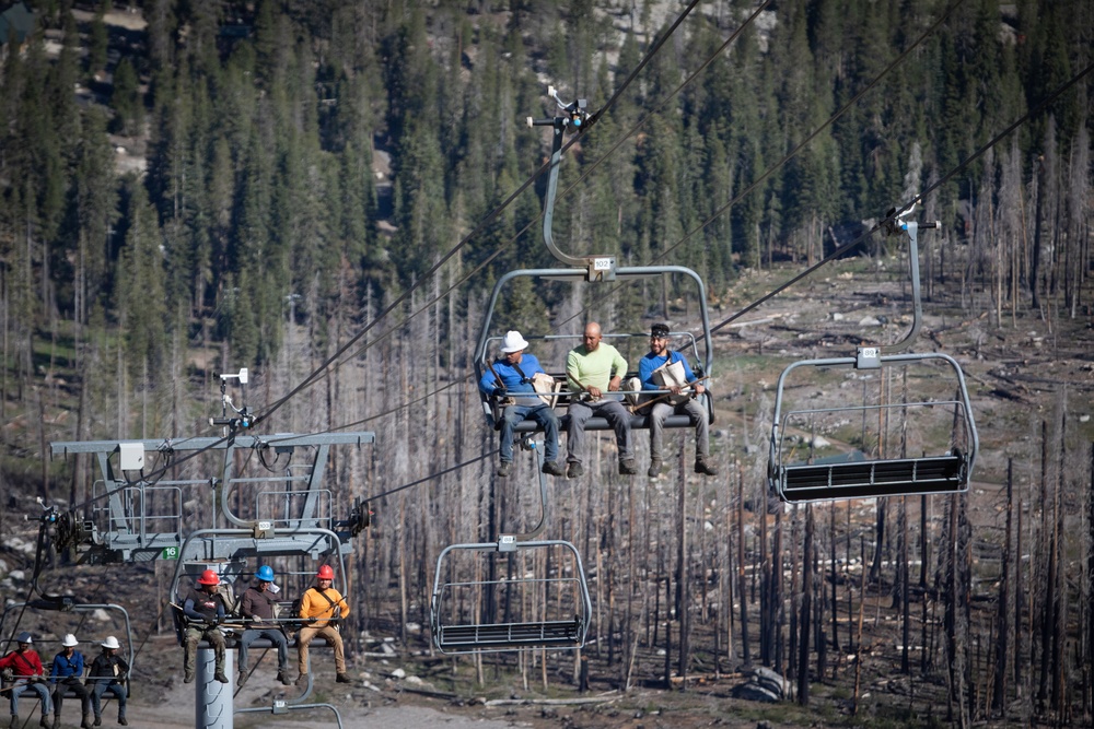 Caldor Fire Reforestation Work Continues Across Eldorado National Forest