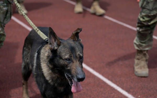 319th Security Forces Squadron observes National Police Week