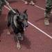 319th Security Forces Squadron observes National Police Week