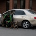 319th Security Forces Squadron observes National Police Week