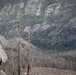 Caldor Fire Reforestation Work Continues Across Eldorado National Forest