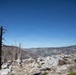 Caldor Fire Reforestation Work Continues Across Eldorado National Forest