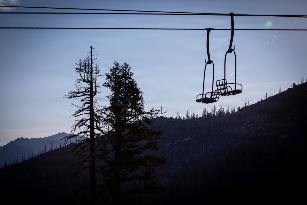Caldor Fire Reforestation Work Continues Across Eldorado National Forest