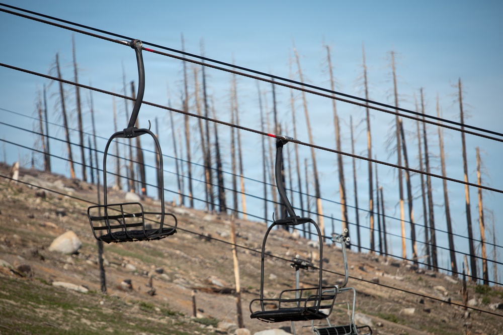 Caldor Fire Reforestation Work Continues Across Eldorado National Forest