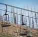 Caldor Fire Reforestation Work Continues Across Eldorado National Forest