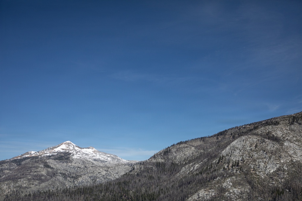 Caldor Fire Reforestation Work Continues Across Eldorado National Forest