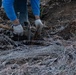 Caldor Fire Reforestation Work Continues Across Eldorado National Forest