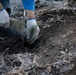 Caldor Fire Reforestation Work Continues Across Eldorado National Forest