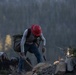 Caldor Fire Reforestation Work Continues Across Eldorado National Forest