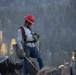 Caldor Fire Reforestation Work Continues Across Eldorado National Forest
