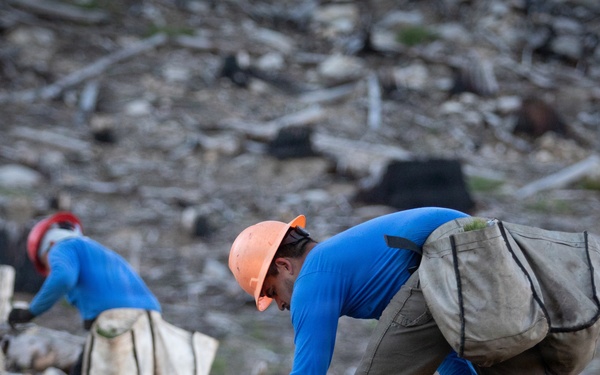 Caldor Fire Reforestation Work Continues Across Eldorado National Forest