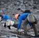 Caldor Fire Reforestation Work Continues Across Eldorado National Forest