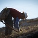 Caldor Fire Reforestation Work Continues Across Eldorado National Forest
