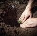 Caldor Fire Reforestation Work Continues Across Eldorado National Forest