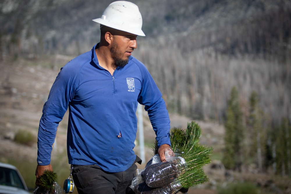 Caldor Fire Reforestation Work Continues Across Eldorado National Forest