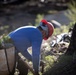 Caldor Fire Reforestation Work Continues Across Eldorado National Forest