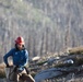 Caldor Fire Reforestation Work Continues Across Eldorado National Forest