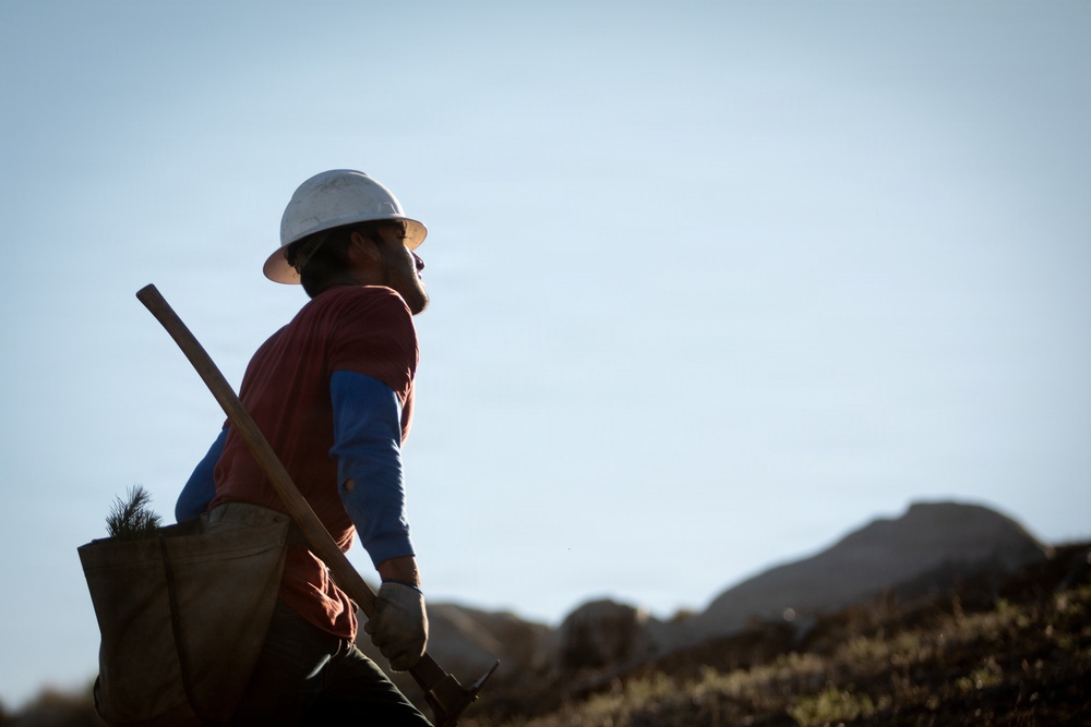 Caldor Fire Reforestation Work Continues Across Eldorado National Forest