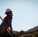 Caldor Fire Reforestation Work Continues Across Eldorado National Forest