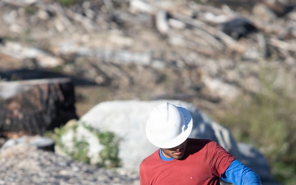 Caldor Fire Reforestation Work Continues Across Eldorado National Forest