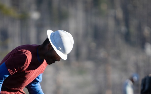 Caldor Fire Reforestation Work Continues Across Eldorado National Forest