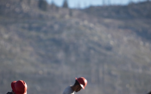 Caldor Fire Reforestation Work Continues Across Eldorado National Forest