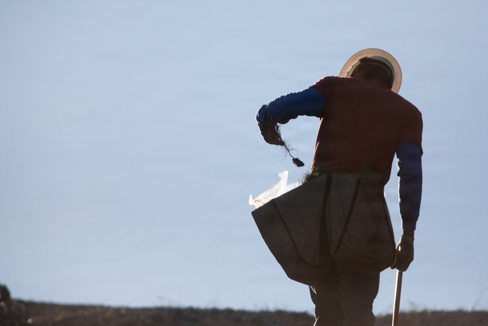 Caldor Fire Reforestation Work Continues Across Eldorado National Forest