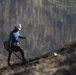 Caldor Fire Reforestation Work Continues Across Eldorado National Forest
