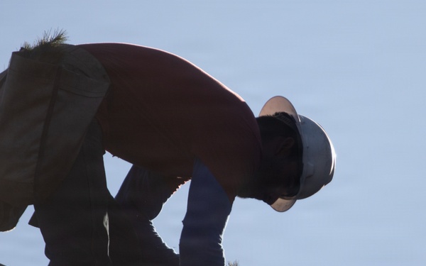 Caldor Fire Reforestation Work Continues Across Eldorado National Forest