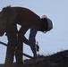 Caldor Fire Reforestation Work Continues Across Eldorado National Forest