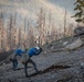 Caldor Fire Reforestation Work Continues Across Eldorado National Forest