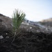 Caldor Fire Reforestation Work Continues Across Eldorado National Forest