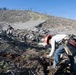 Caldor Fire Reforestation Work Continues Across Eldorado National Forest